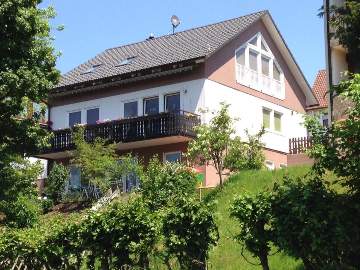 Haus Talblick Apartment Freudenstadt Luaran gambar